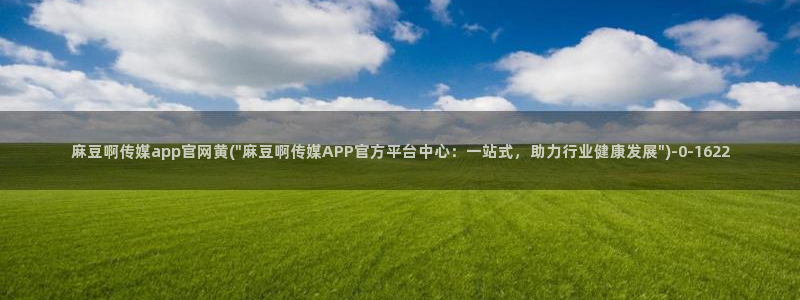 麻豆影像传媒官网在线:麻豆啊传媒app官网黄(\